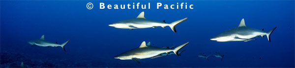 picture of a hotel in the the guam islands