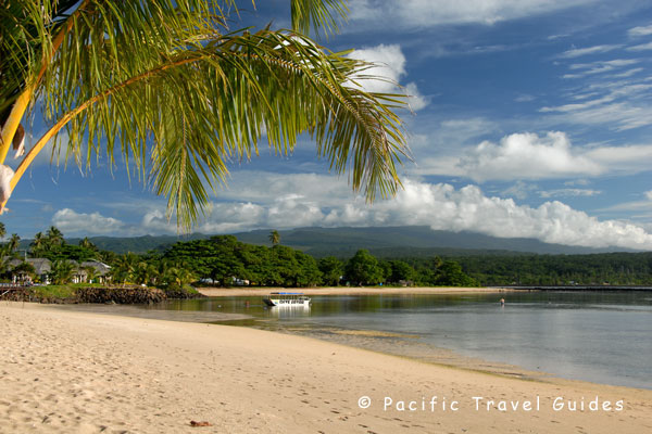 click for large picture